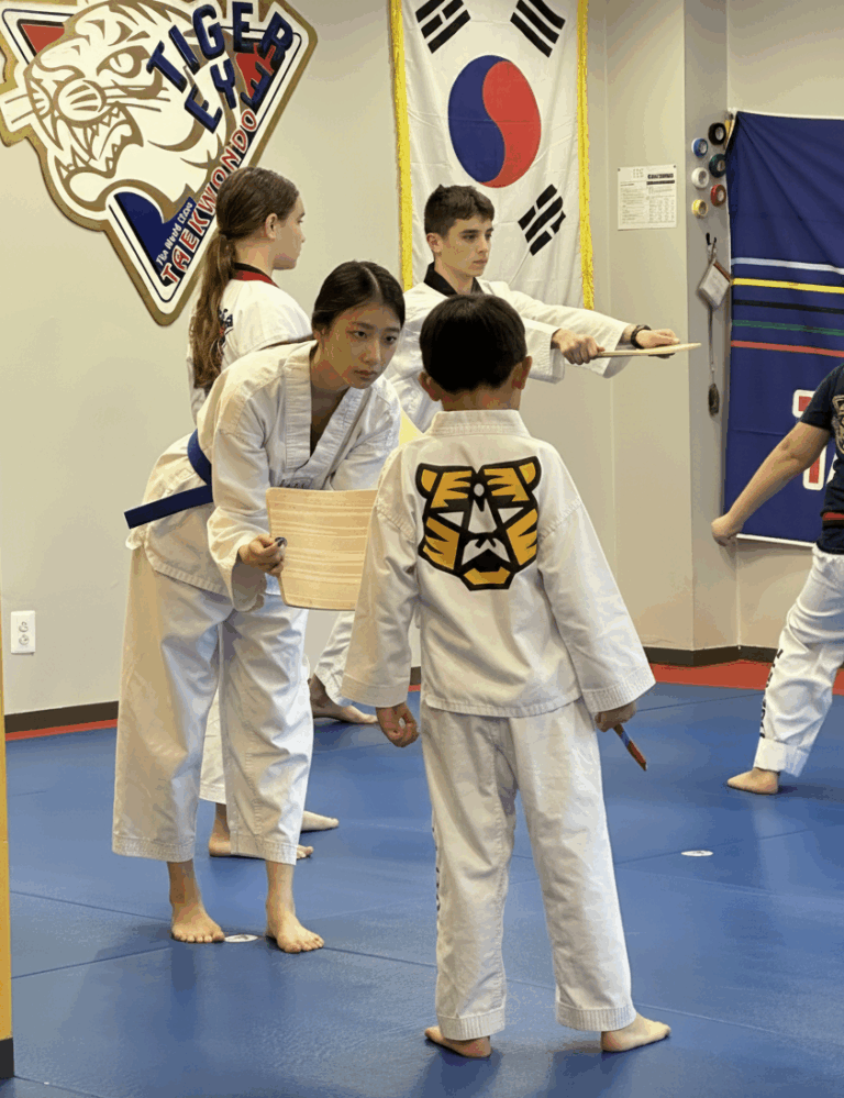 taekwondo1